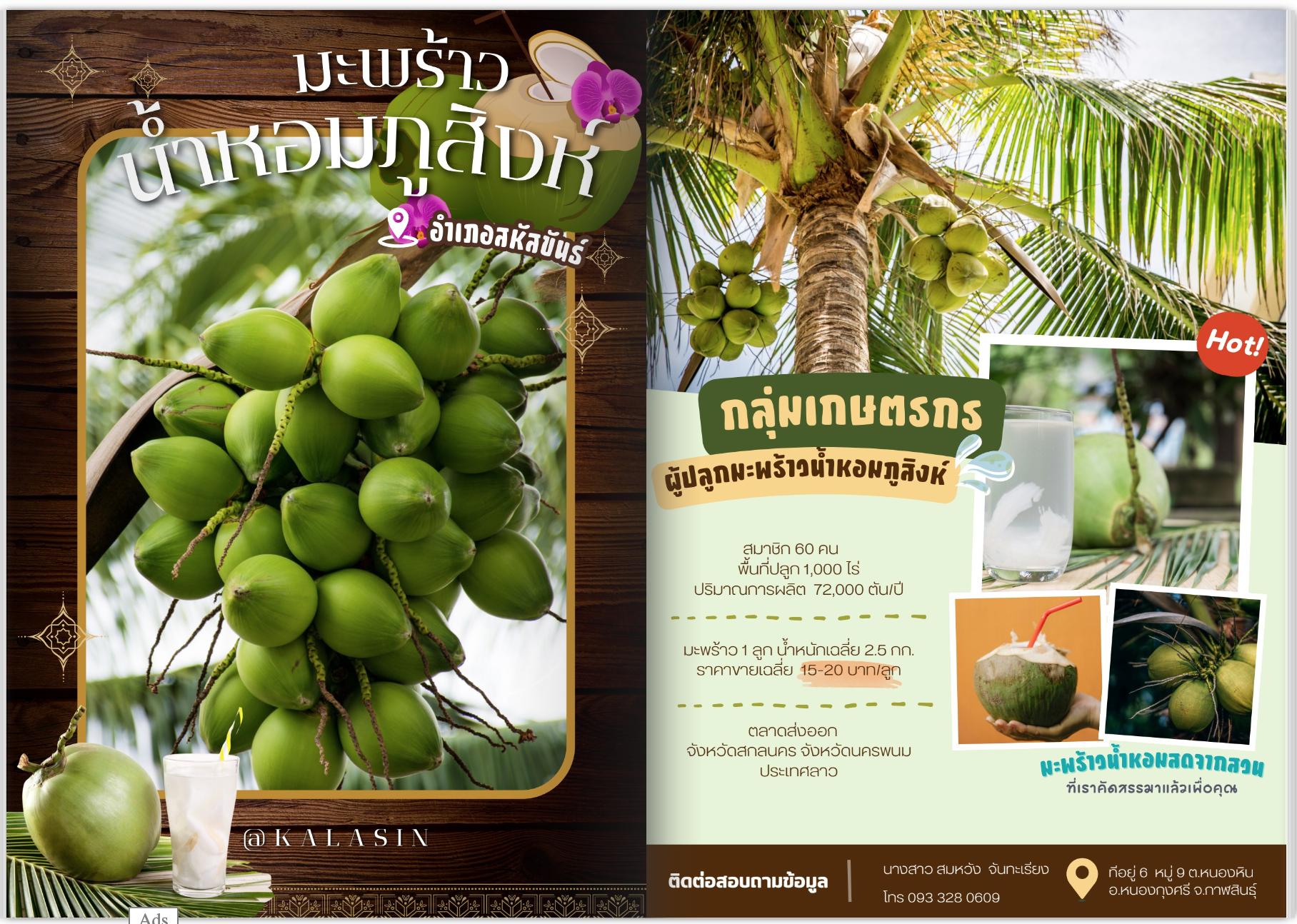 มะพร้าวน้ำหอมภูสิงห์
