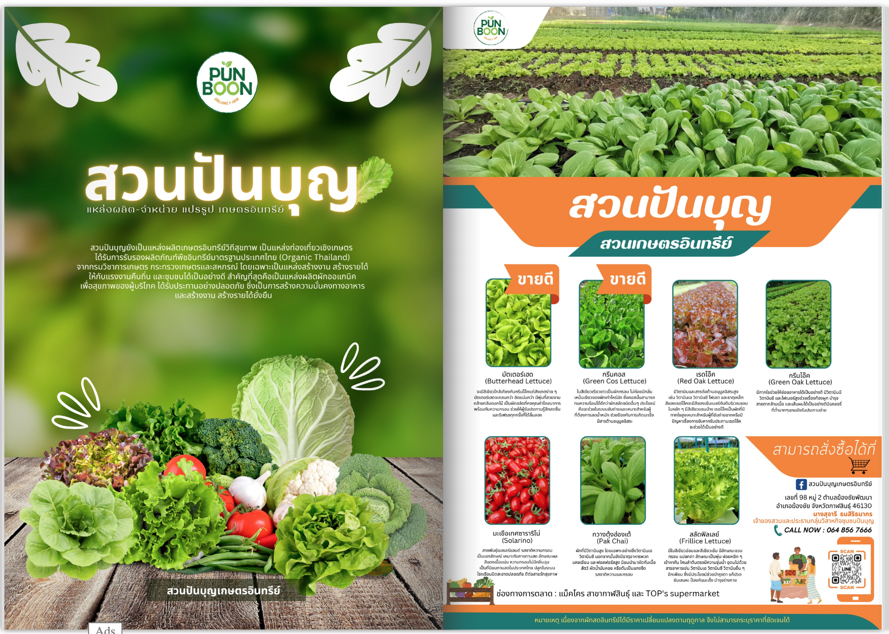 ผักอินทรีย์ สวนปันบุญ